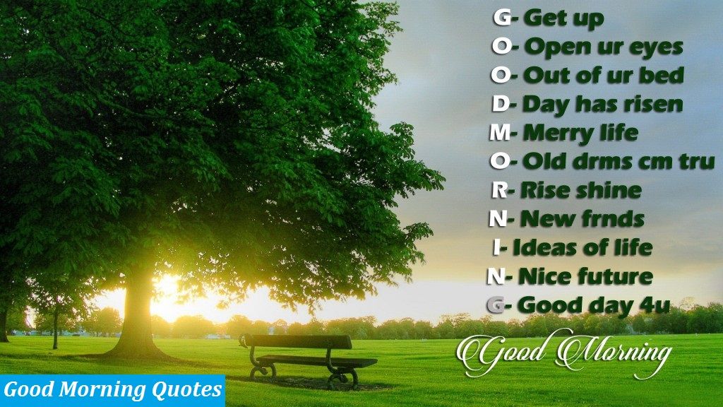 Natural Good Morning Images Downloaded - HD Wallpaper 