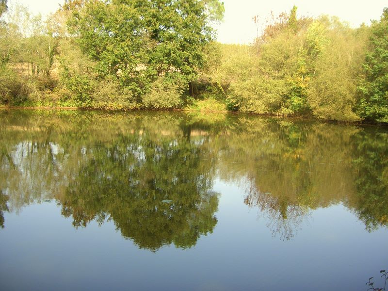 Carpfishing Source Http In France Gallery Carp Fishing - Reflection - HD Wallpaper 