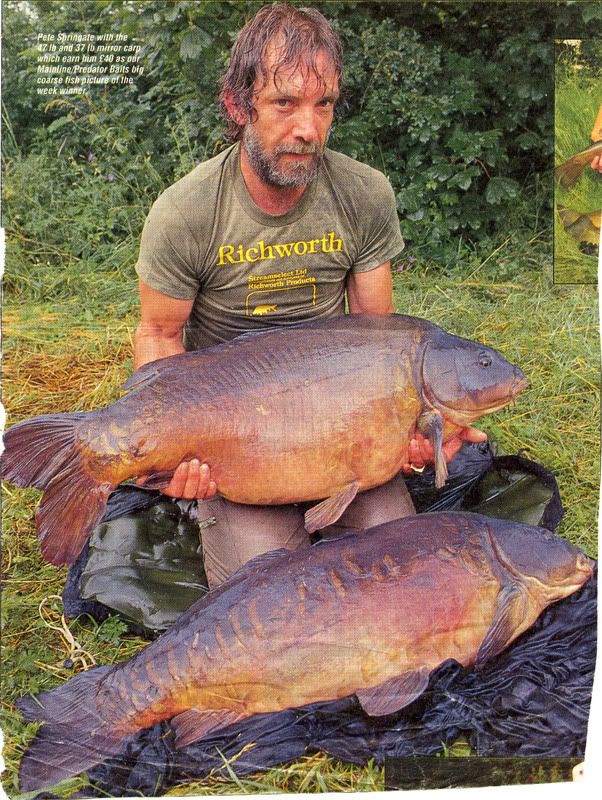Pete Springate Carp - HD Wallpaper 