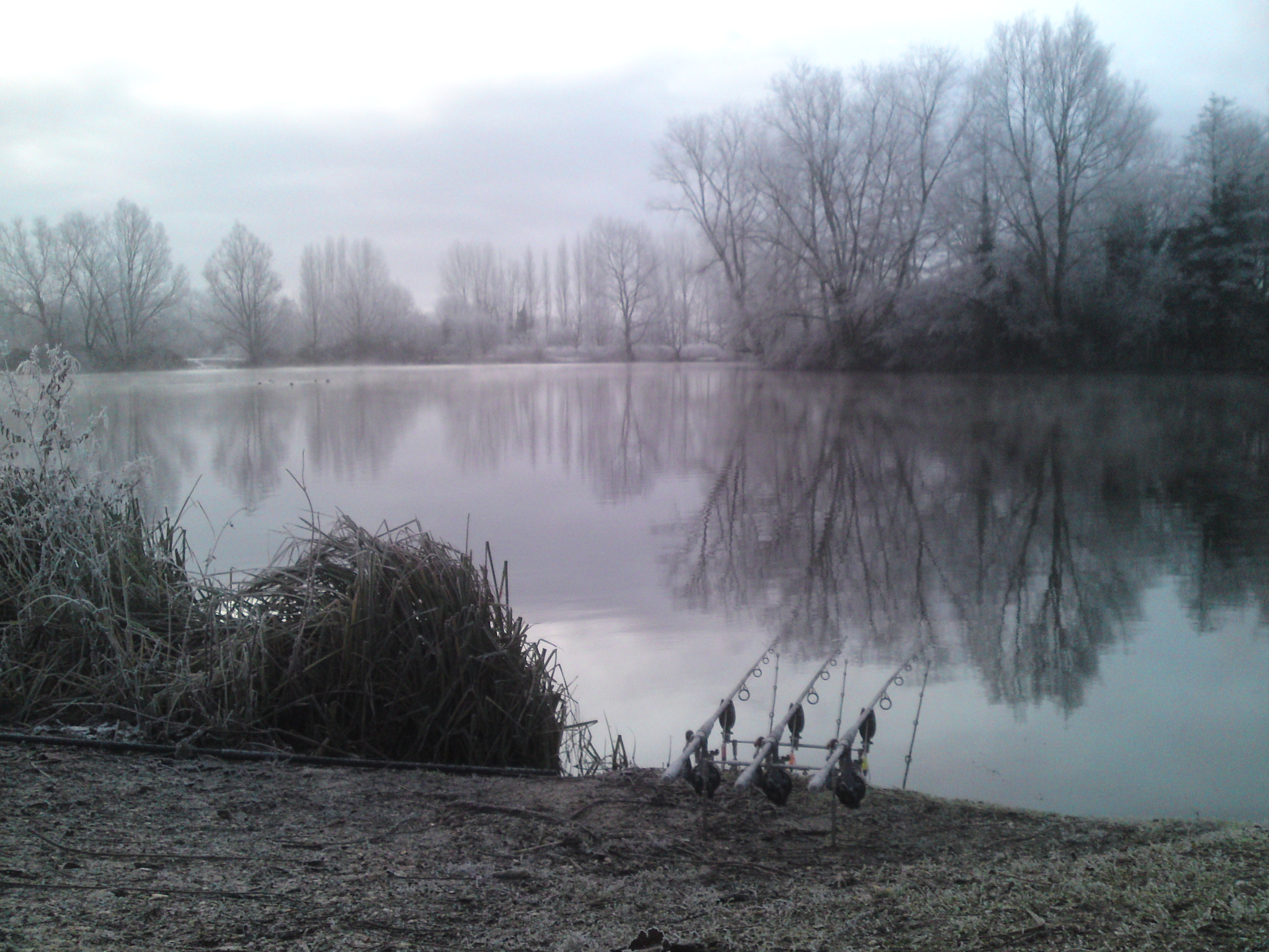 Renoir - Reflection - HD Wallpaper 