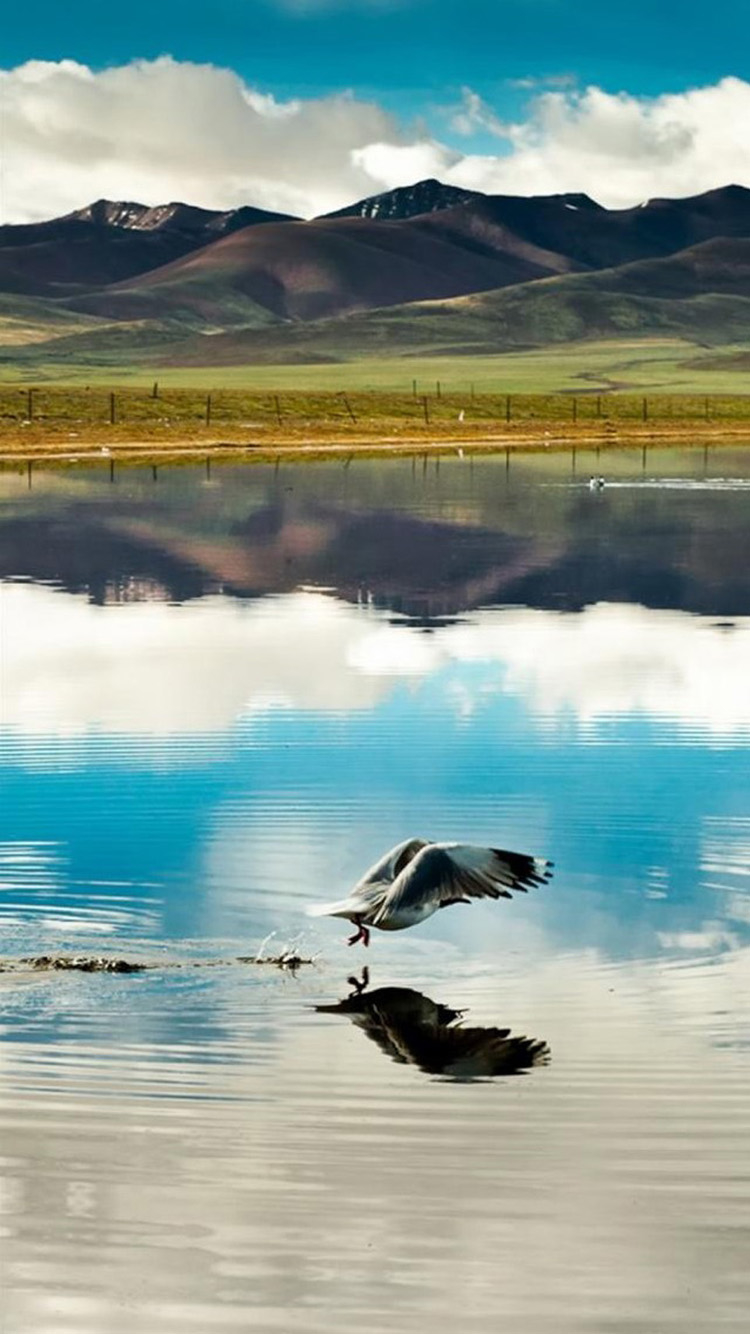 Wallpaper - HD Wallpaper 