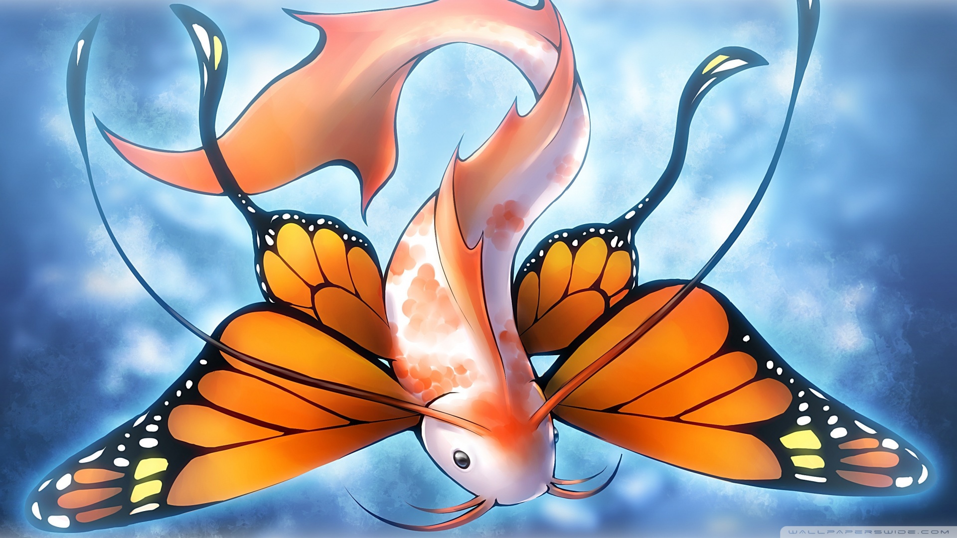 New Butterfly Photo Hd - HD Wallpaper 