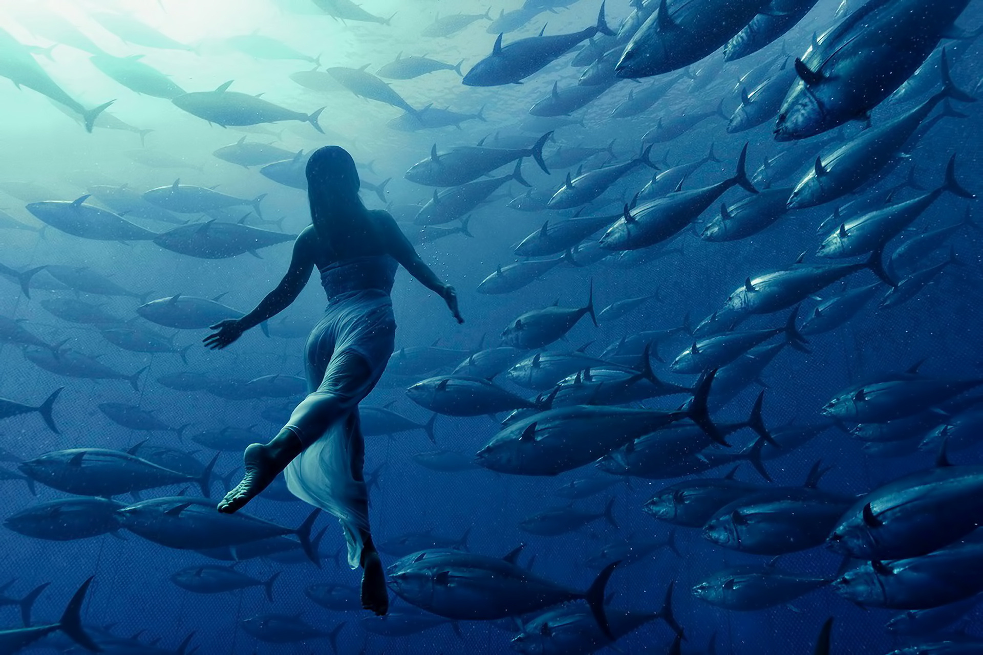 Wallpaper Of Girl, Water, Fish Background & Hd Image - National Geographic Free Diving - HD Wallpaper 
