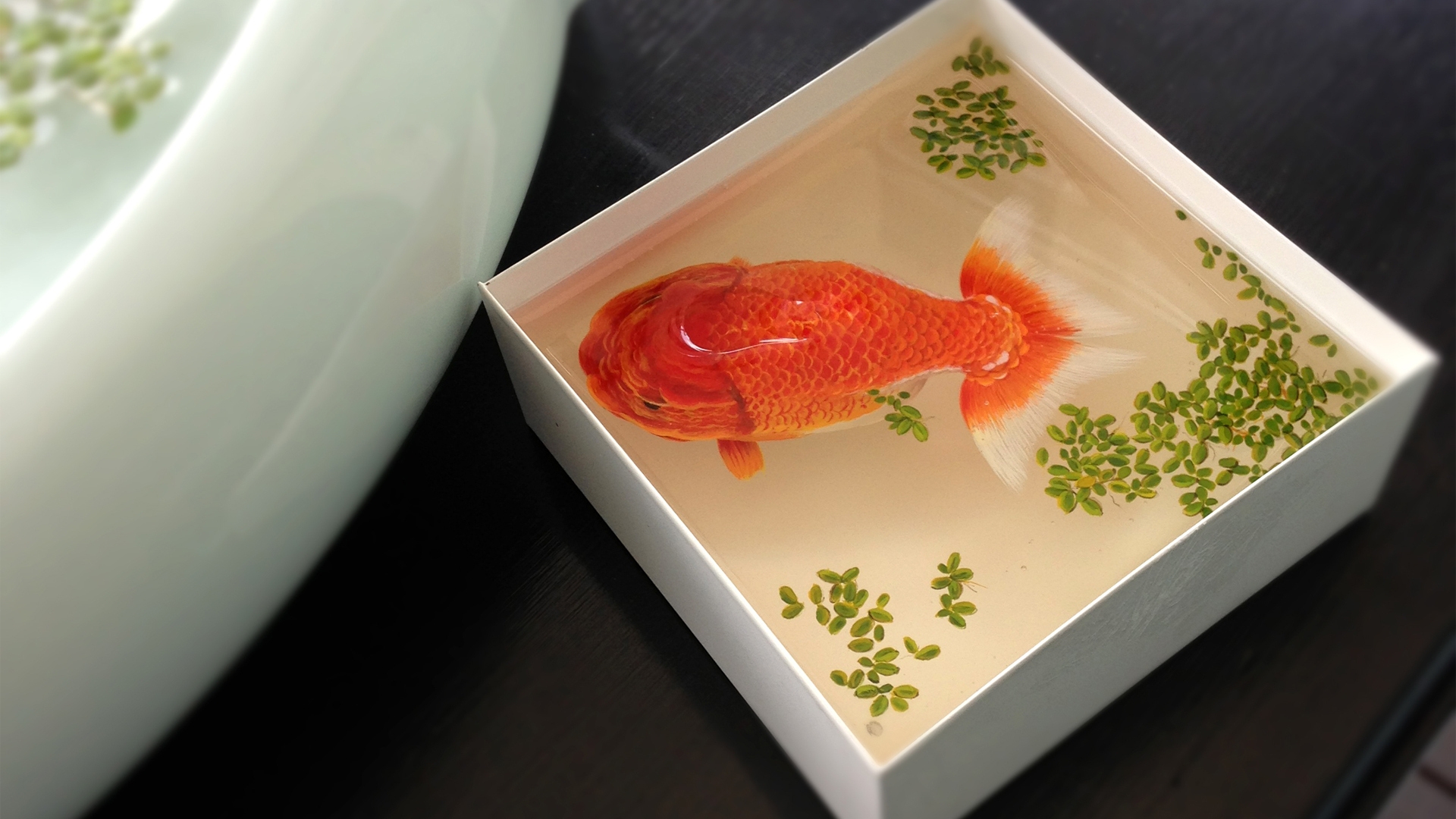 Gold Fish For 1920 X 1080 Hdtv 1080p Resolution - HD Wallpaper 