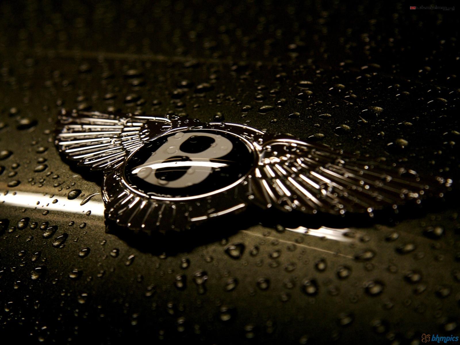 Bentley Hd Wallpaper - Bentley Continental Gt Symbol - HD Wallpaper 