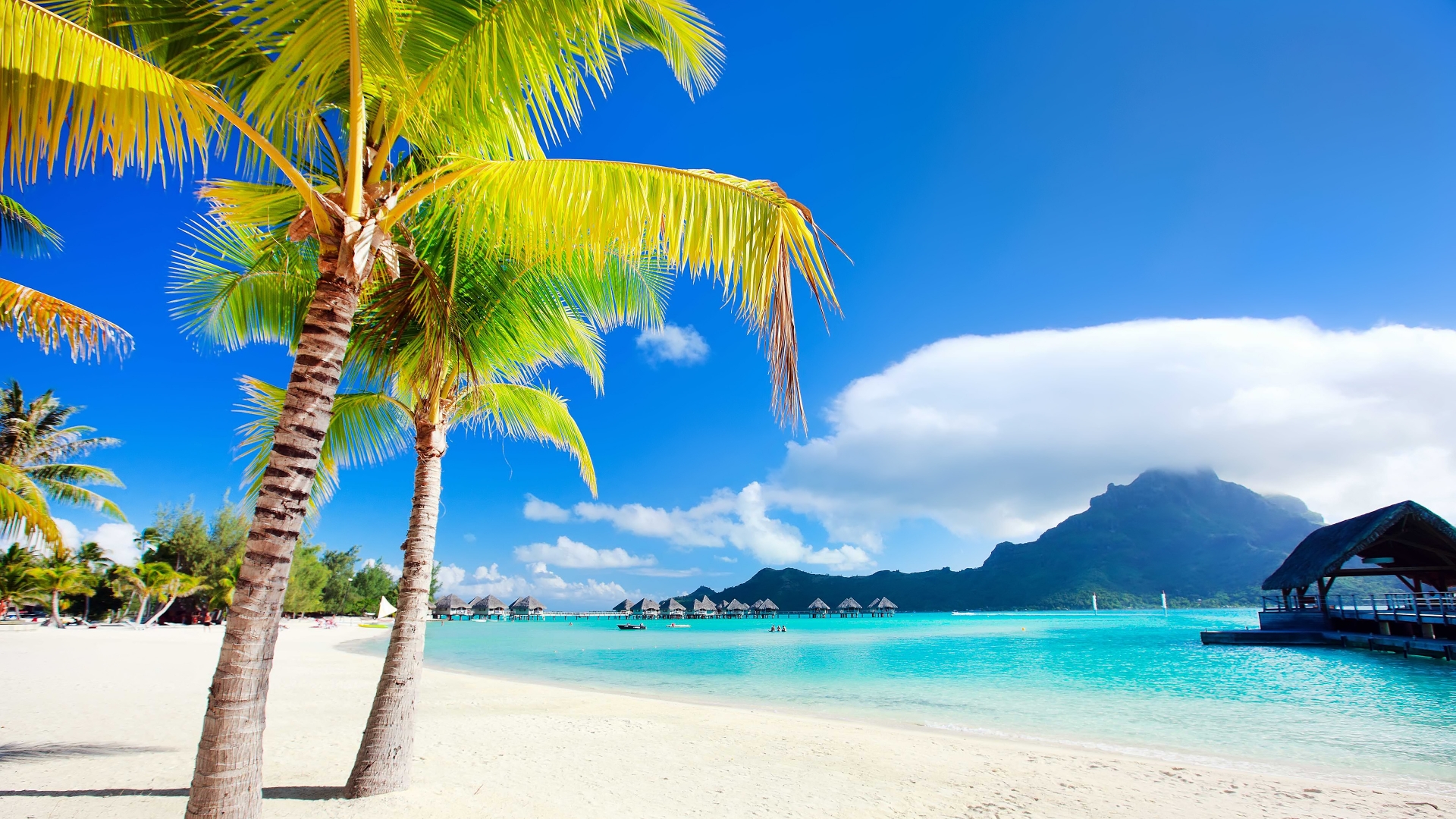 High Resolution Bora Bora Wallpaper - High Resolution Bora Bora - HD Wallpaper 