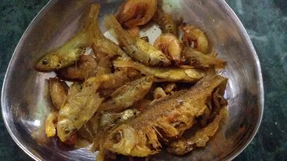 Anchovy (food) - HD Wallpaper 