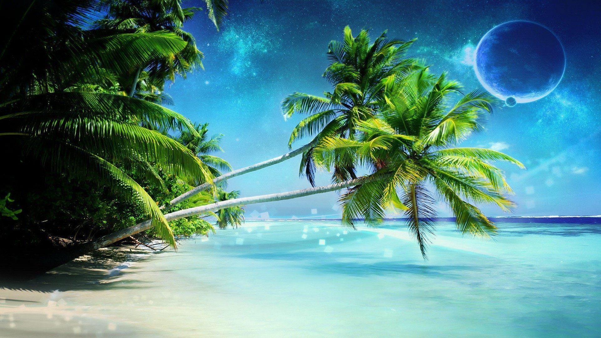 Palm Tree On Paradise Beach Wallpaper Download Hd Wallpapers - Most Beautiful Nature Of Indonesia - 1920x1080 Wallpaper Palm Tree On Paradise Beach Wallpaper Download Hd Wallpapers - Most Beautiful Nature Of Indonesia - 1920x1080 Wallpaper