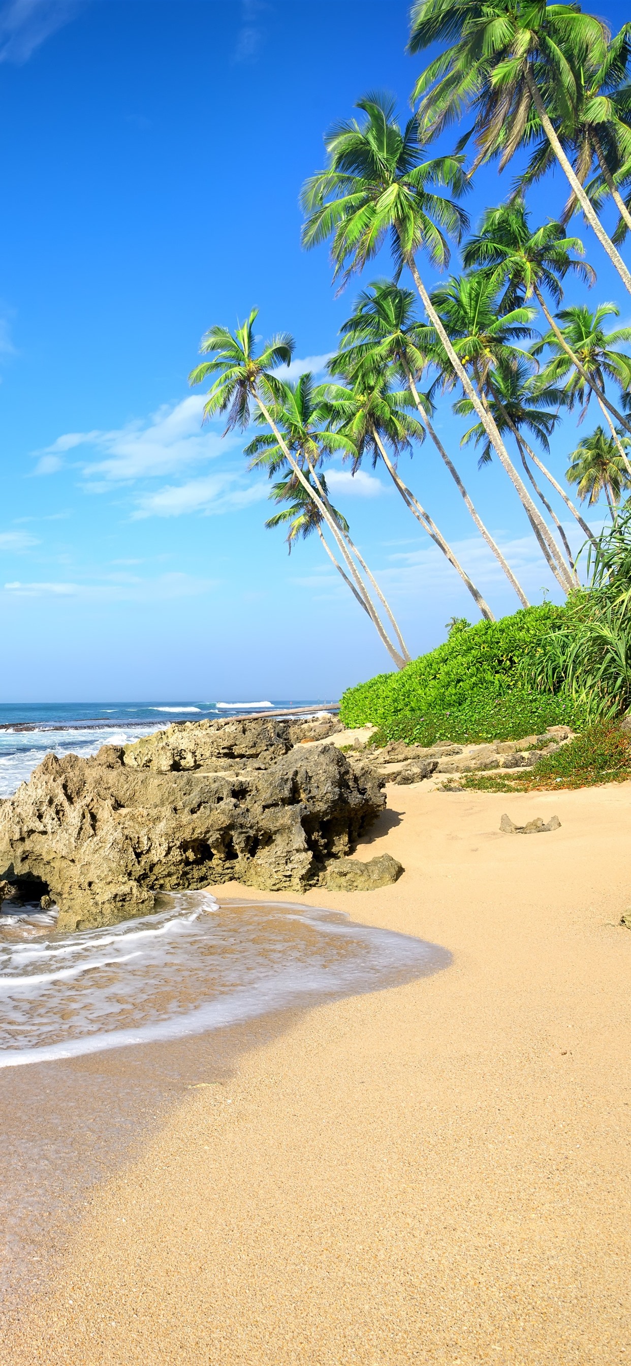 Iphone Wallpaper Palm Trees, Beach, Sea, Waves, Rocks - 21 9 Background Tropical - HD Wallpaper 