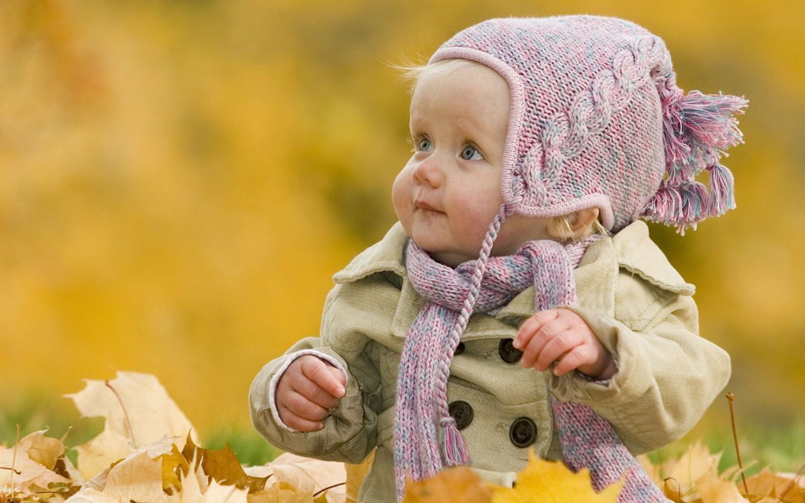 Free Fine Baby Images On Your Computer - Autumn Baby - HD Wallpaper 