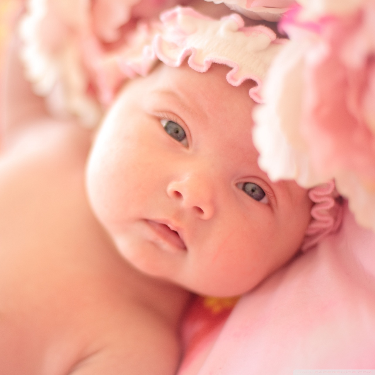 Most Beautiful New Born - HD Wallpaper 