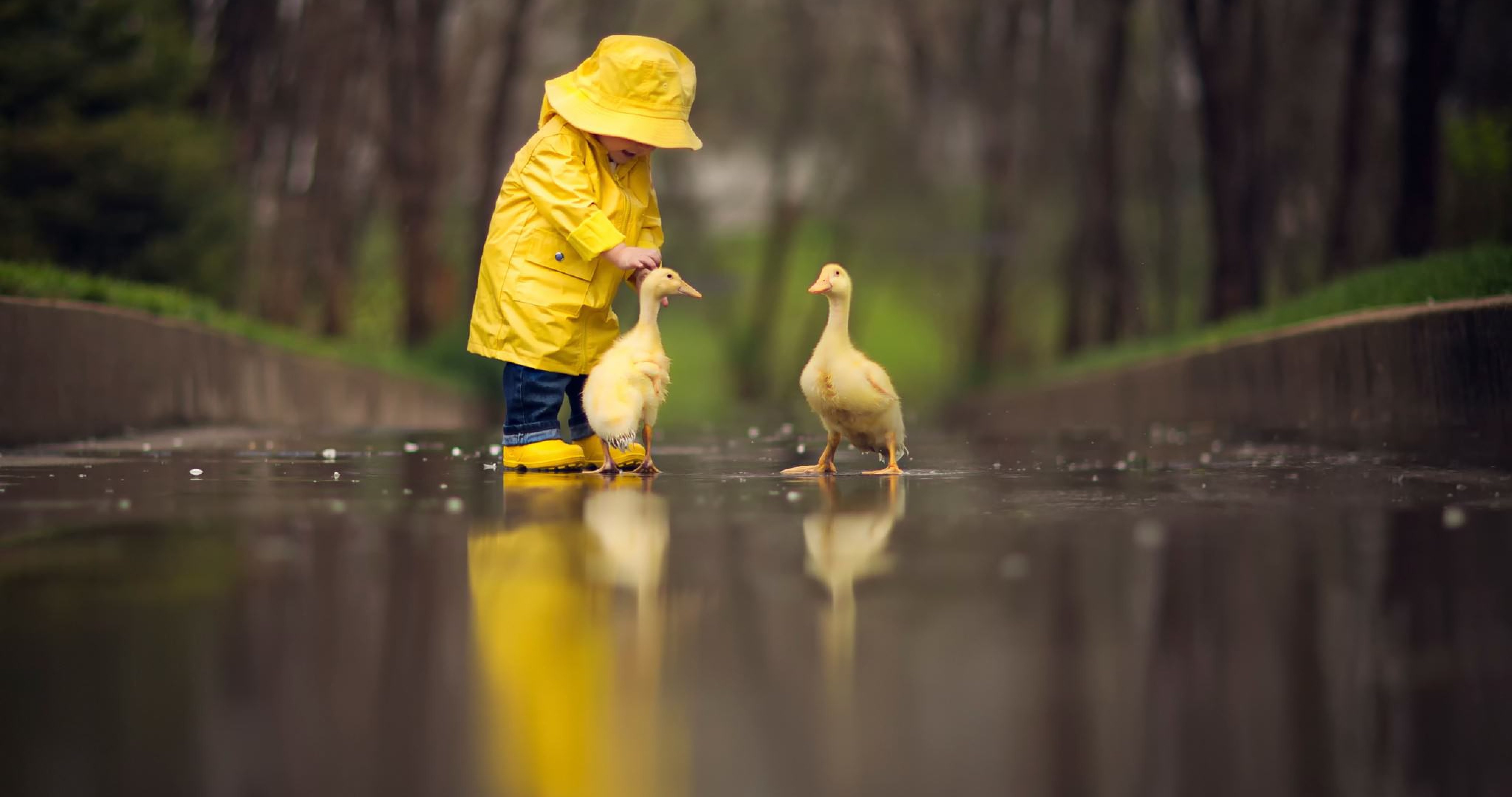 Yellow Raincoat Baby - HD Wallpaper 