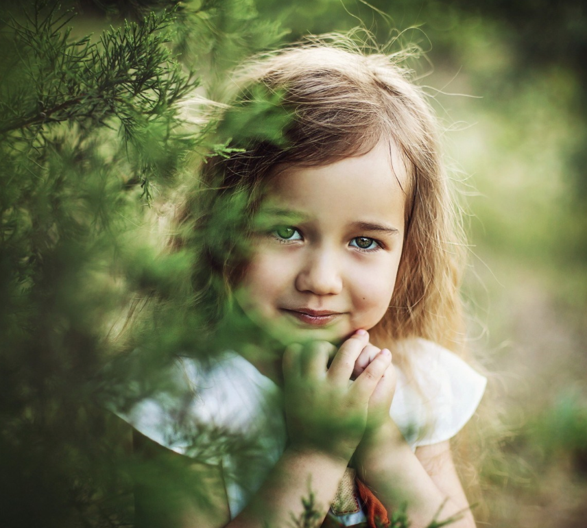 Cuteness - HD Wallpaper 