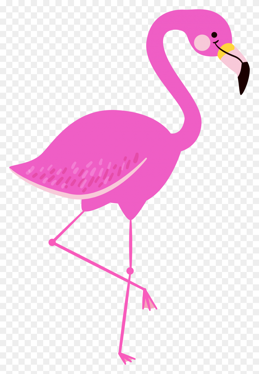 Wallpaper Cute Baby Free Download Download Free Wallpaper - Png Transparent Flamingos Png - HD Wallpaper 