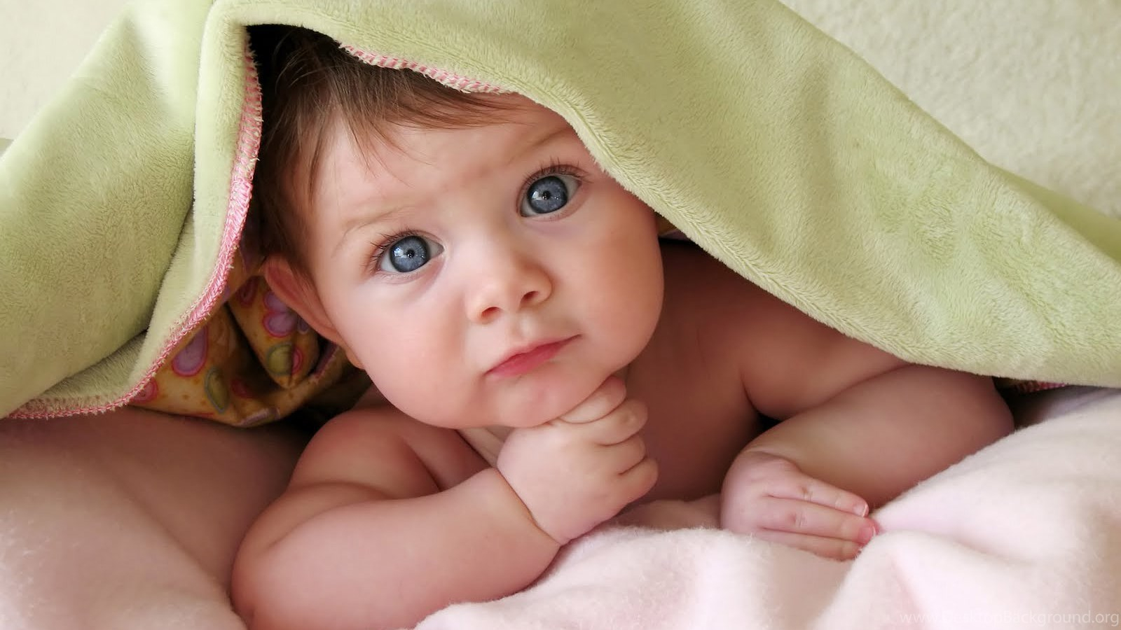 Baby Images Wallpapers Free Download - Baby Photos In Hd Free Download - HD Wallpaper 