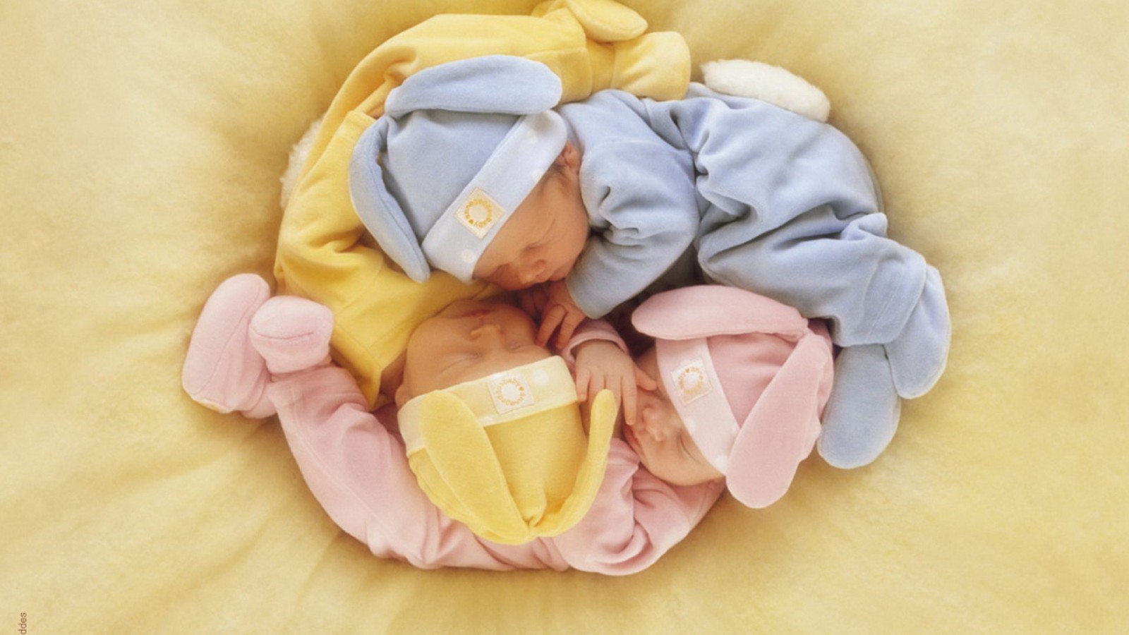Sleepy Babies - HD Wallpaper 
