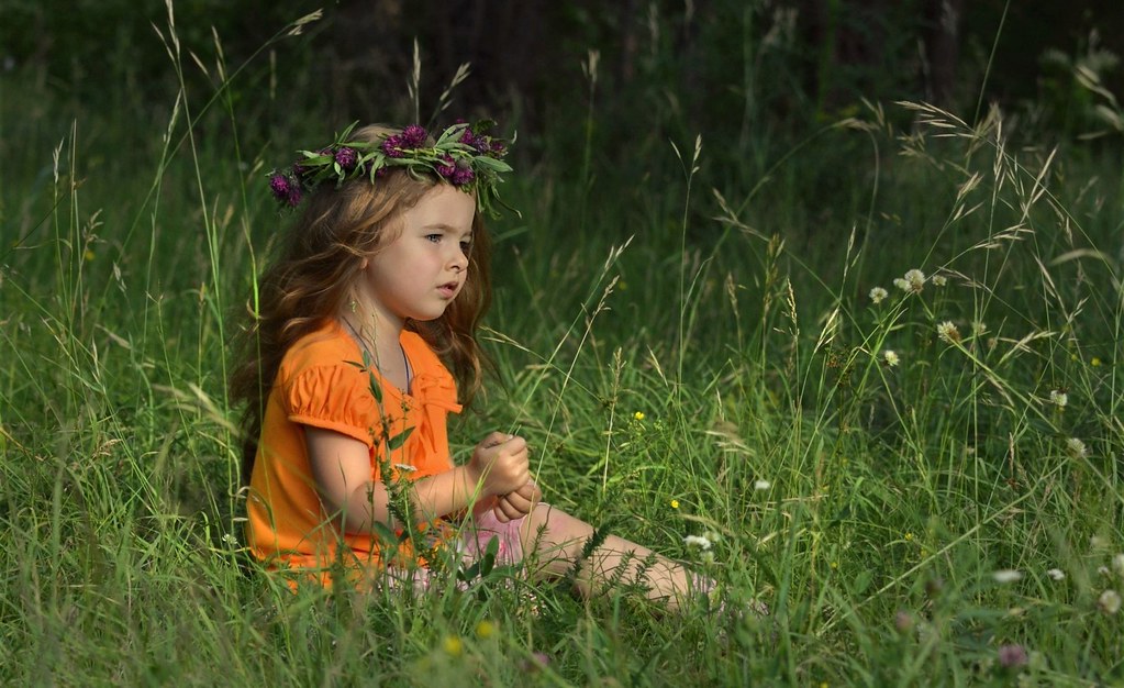 Grass - HD Wallpaper 