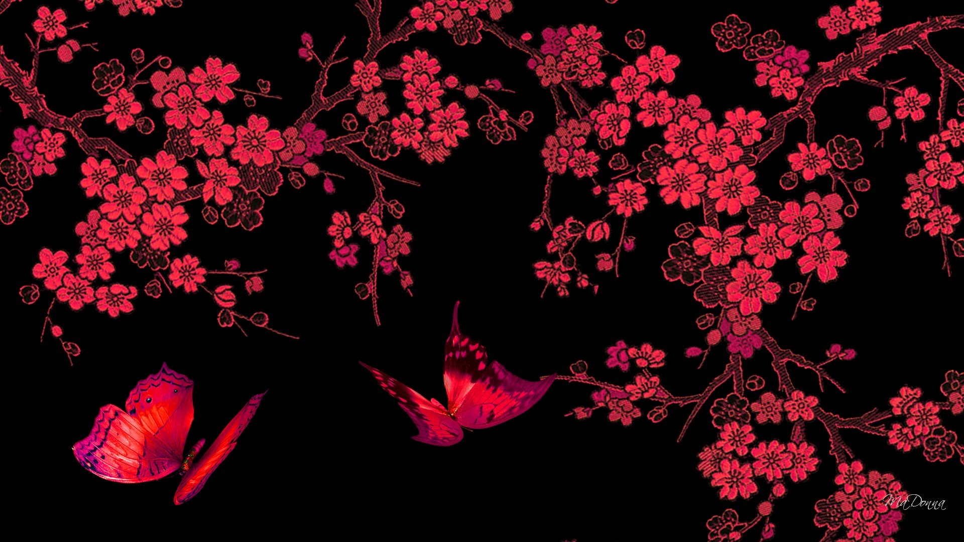 Â« Red Butterfly Desktop Background Wallpaper Â - Red And Black Butterfly Background - HD Wallpaper 
