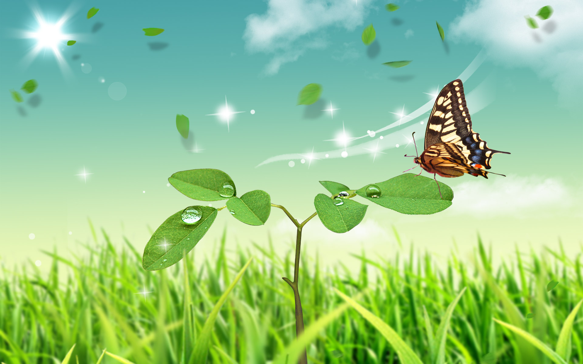 Hd - HD Wallpaper 