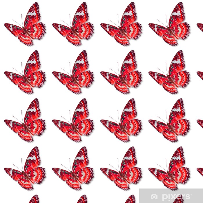 Red Butterfly Wallpaper - HD Wallpaper 