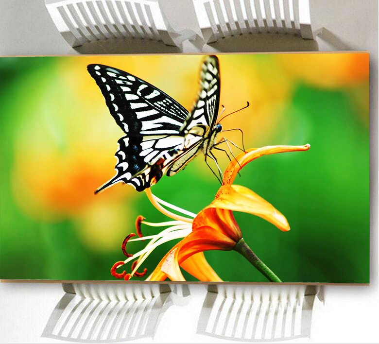 Papilio Machaon - HD Wallpaper 