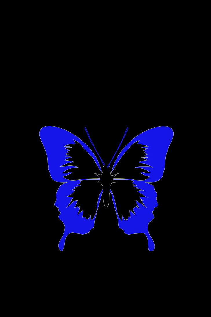 Butterfly, Minimalism, Black, Blue - Blue Butterfly Black Background -  728x1092 Wallpaper 