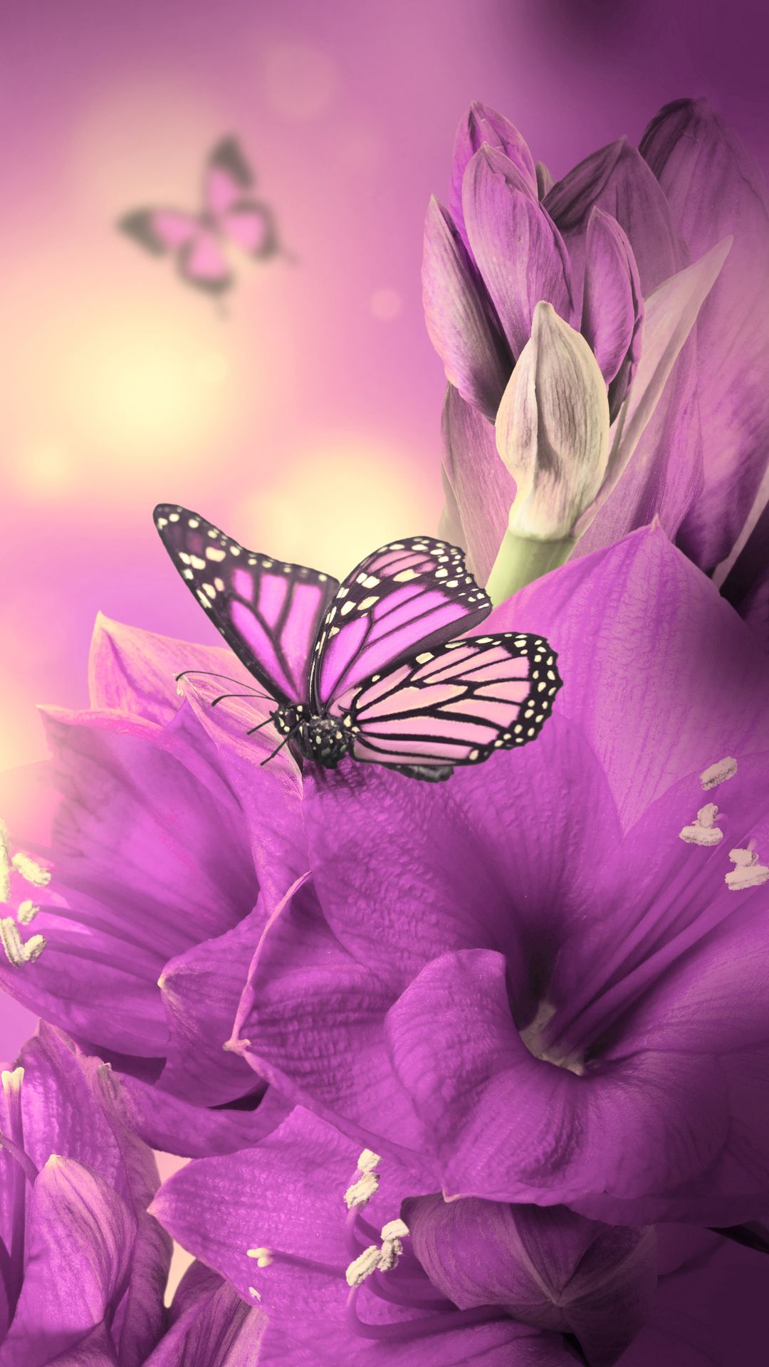Beautiful Wallpapers For Mobile - 1080x1920 Wallpaper Beautiful Wallpapers For Mobile - 1080x1920 Wallpaper