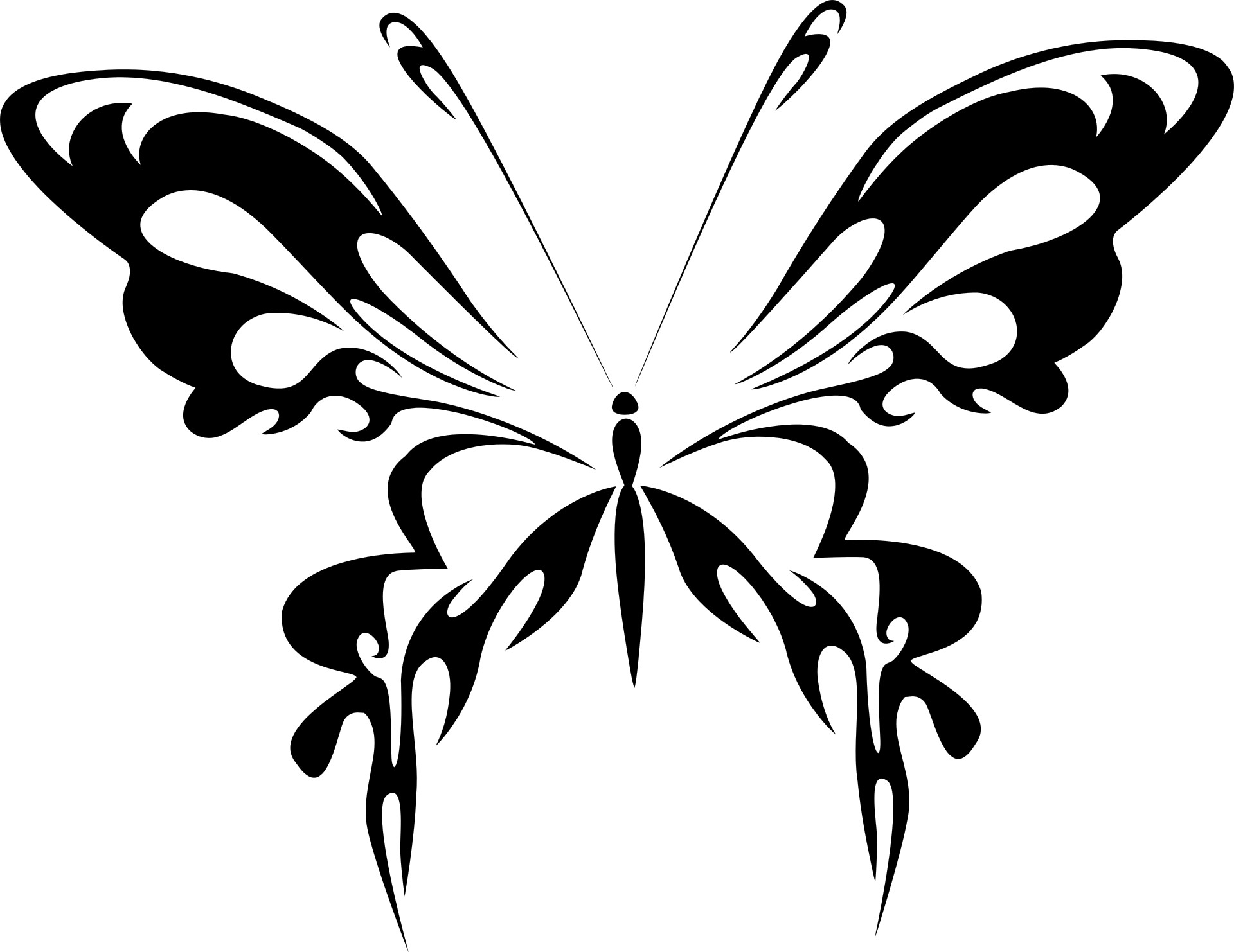 Black Silhouette Of A Butterfly On A White Background - Black And White  Butterfly Png - 1920x1482 Wallpaper 