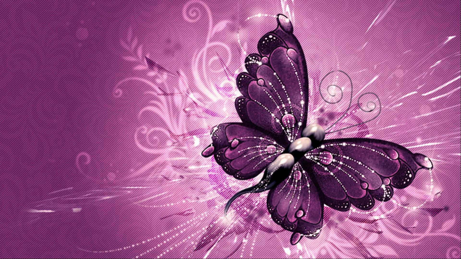 Purple Butterfly Wallpaper Hd - HD Wallpaper 
