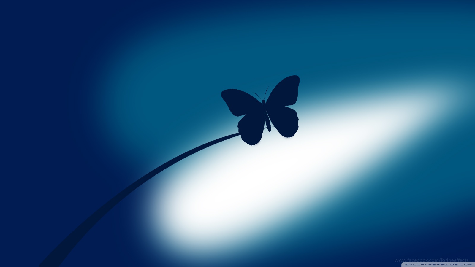 Blue Butterfly Wallpaper High Definition For Free Wallpaper - Blue Butterfly Images Hd - HD Wallpaper 