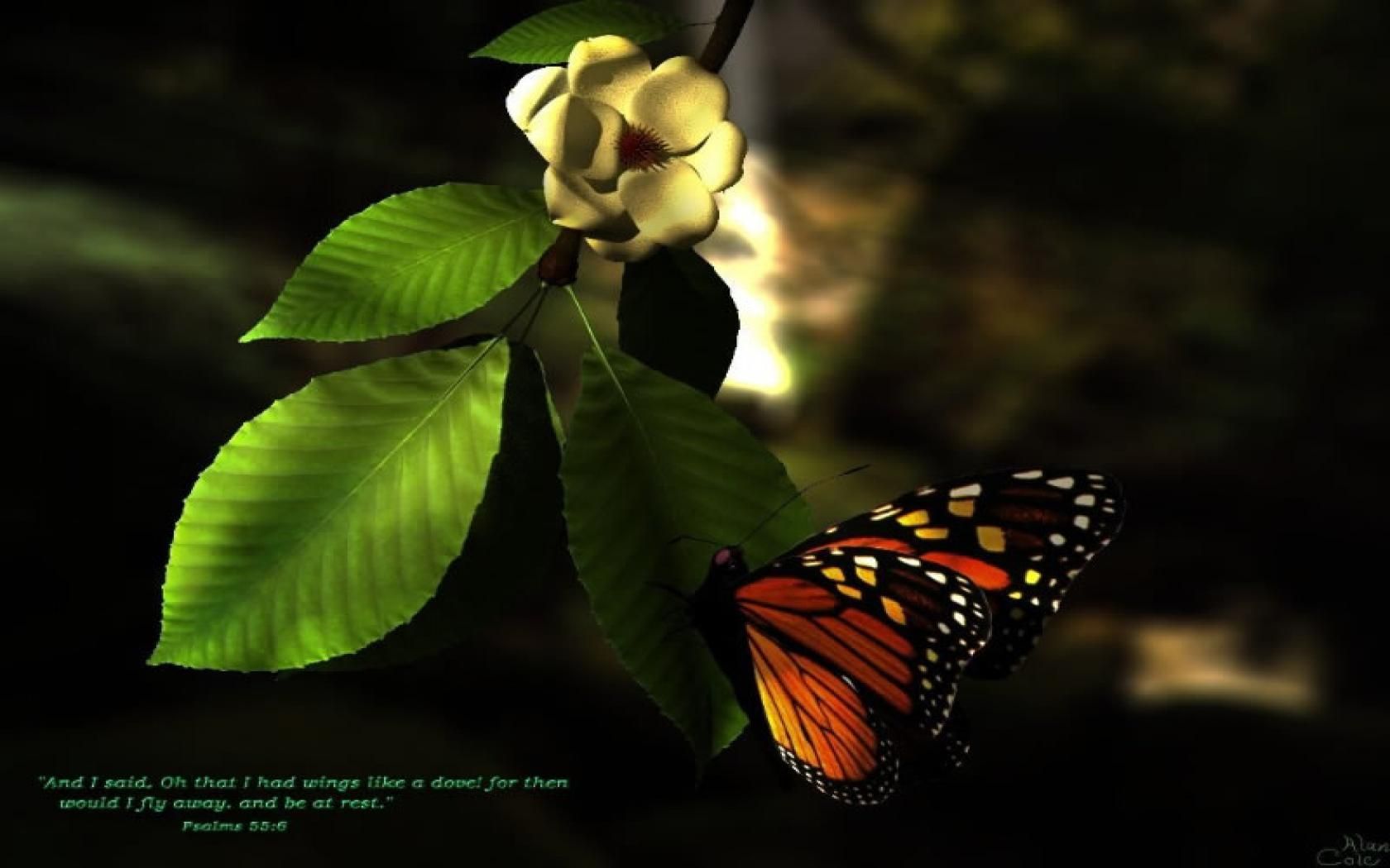 Butterfly Hd Fantasy - HD Wallpaper 