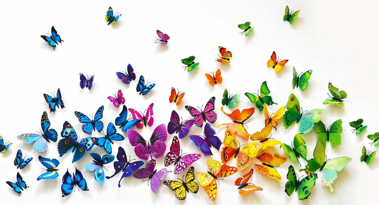 Butterflies Png Background Image - HD Wallpaper 