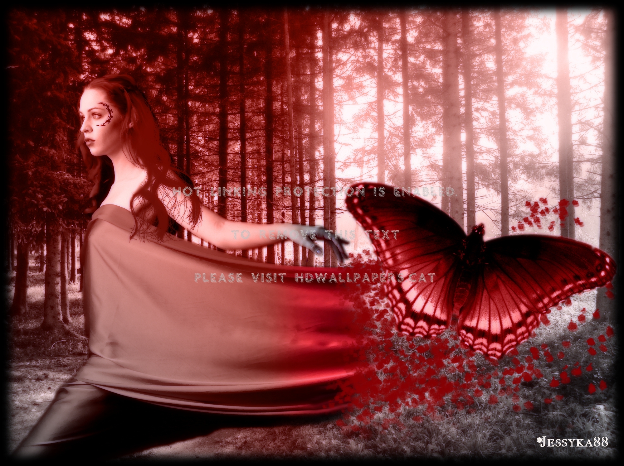 Red Butterfly Wallpaper - HD Wallpaper 