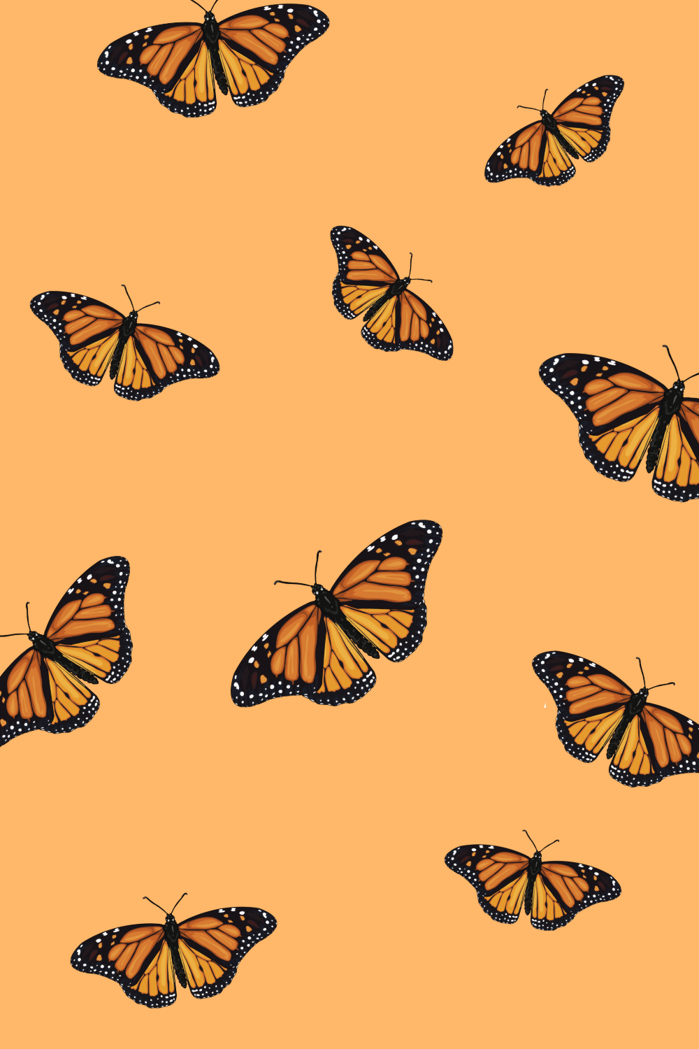 Butterfly Wallpaper Aesthetic - HD Wallpaper 