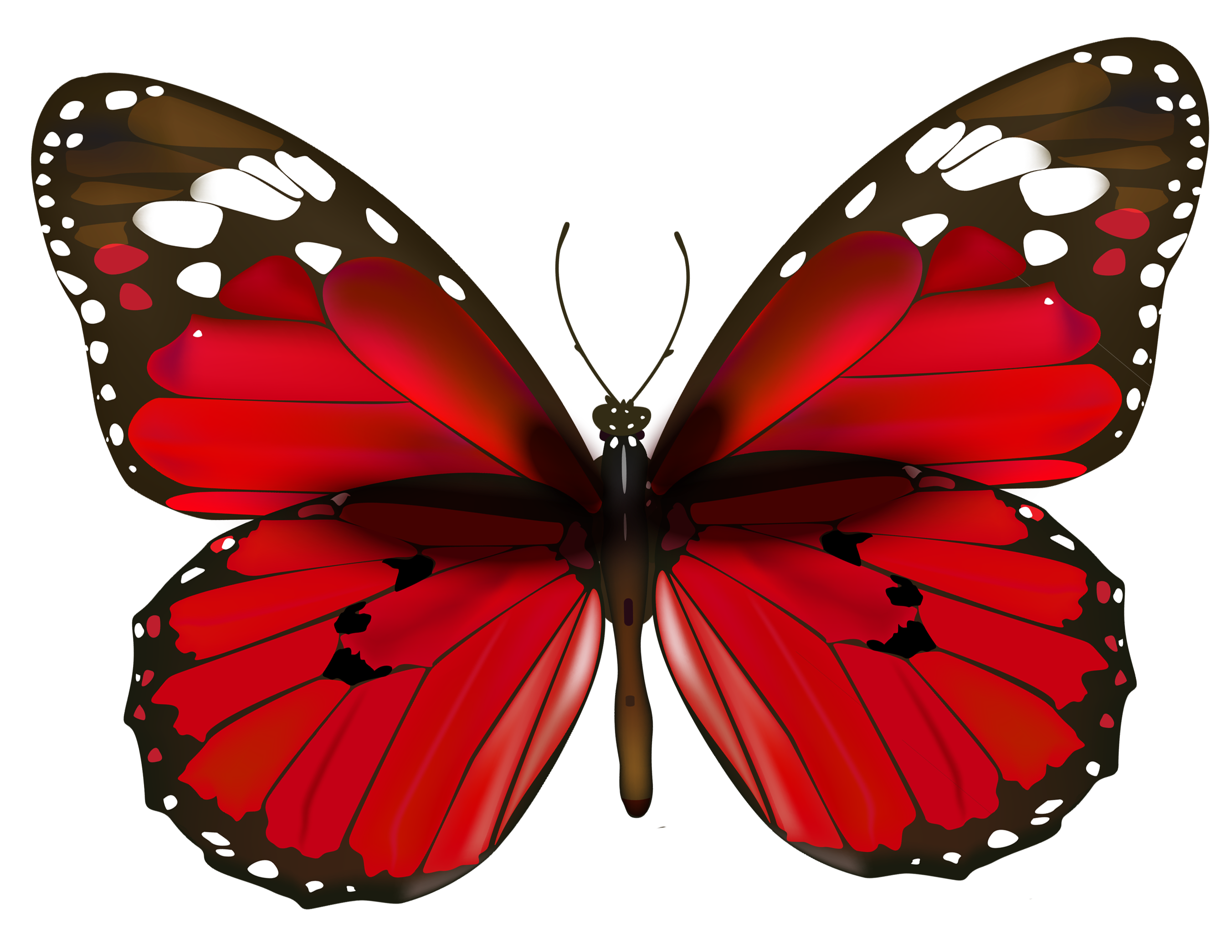 Butterfly White Background - Red Butterfly Clipart - HD Wallpaper 