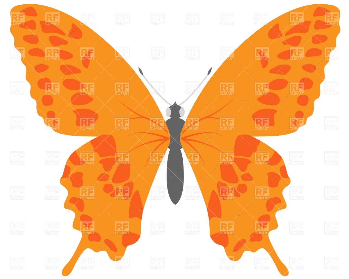 Butterfly, Plants And Animals, Download Free Vector - Butterfly Clipart Vector Free - HD Wallpaper 