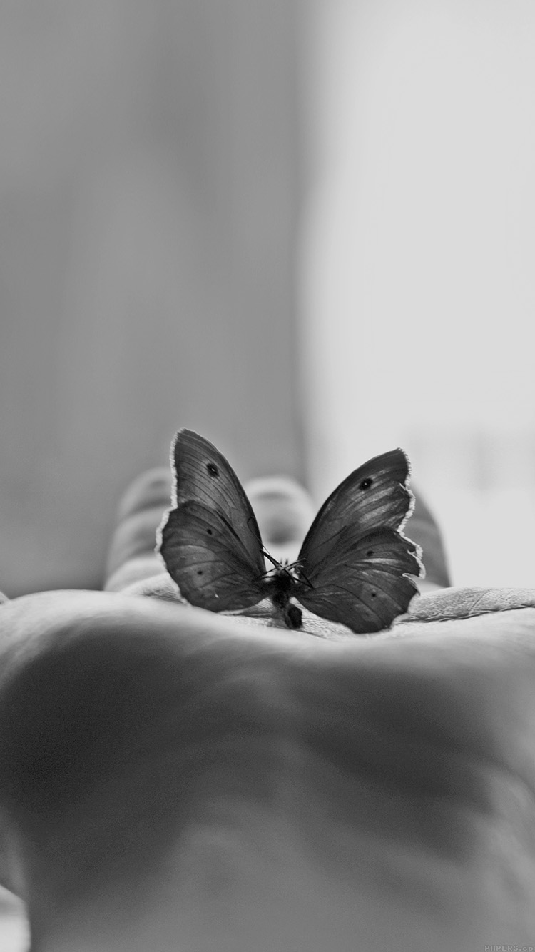 Butterfly Hand Black White Art Iphone Wallpaper - Black And White Wallpaper Iphone 7 - HD Wallpaper 
