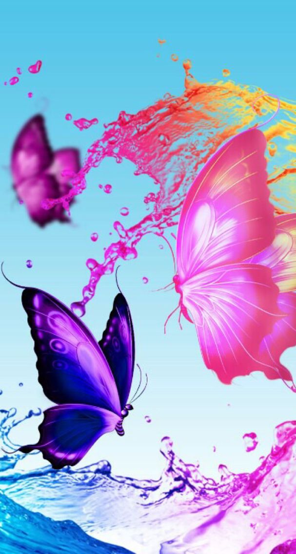 Wallpaper - HD Wallpaper 