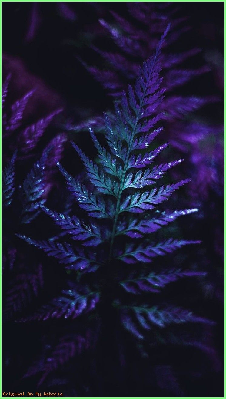Nova Launcher 4chan Theme 746x1318 Wallpaper Teahub Io