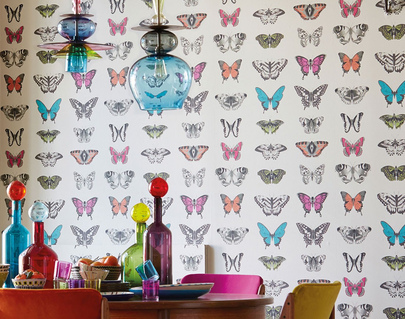 Harlequin Papilio - HD Wallpaper 