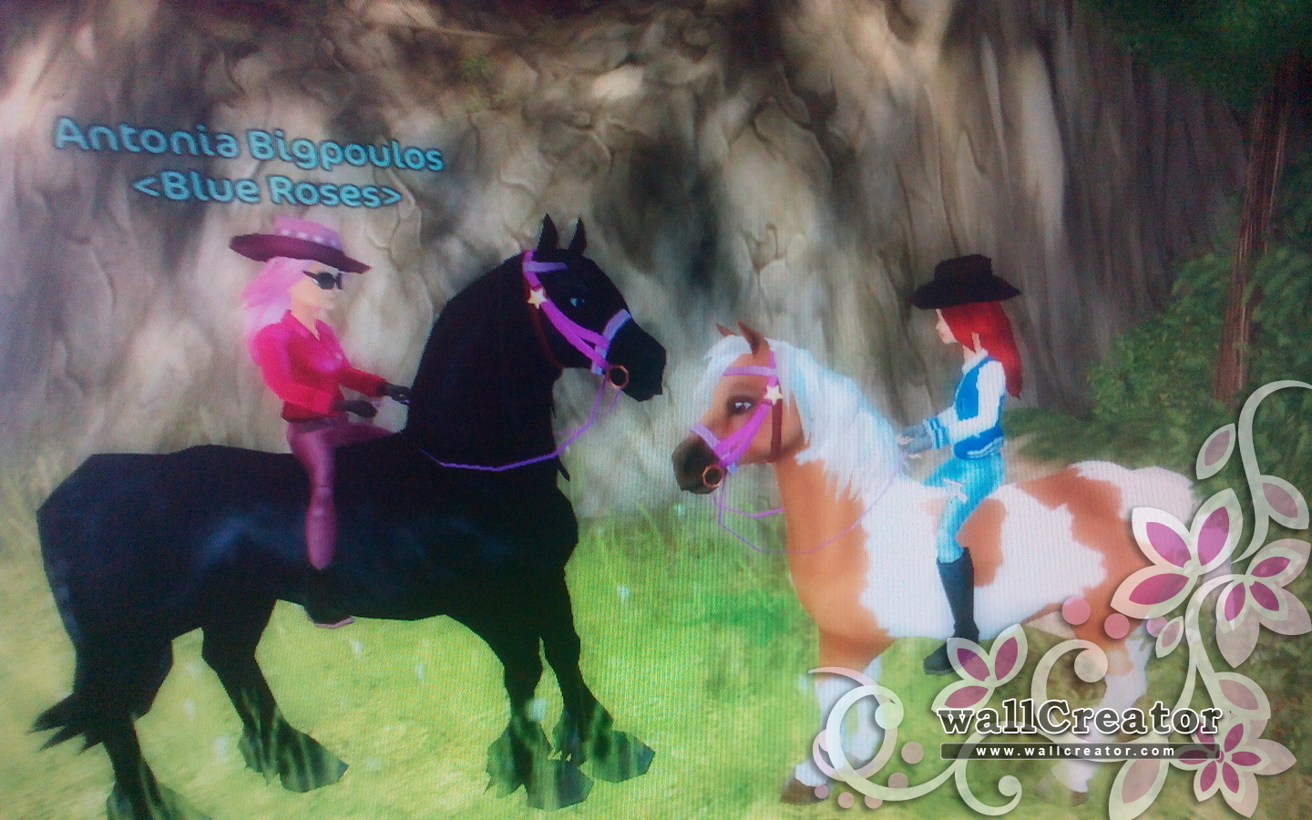 1440 / 900 Wallpaper - Dolphins - HD Wallpaper 