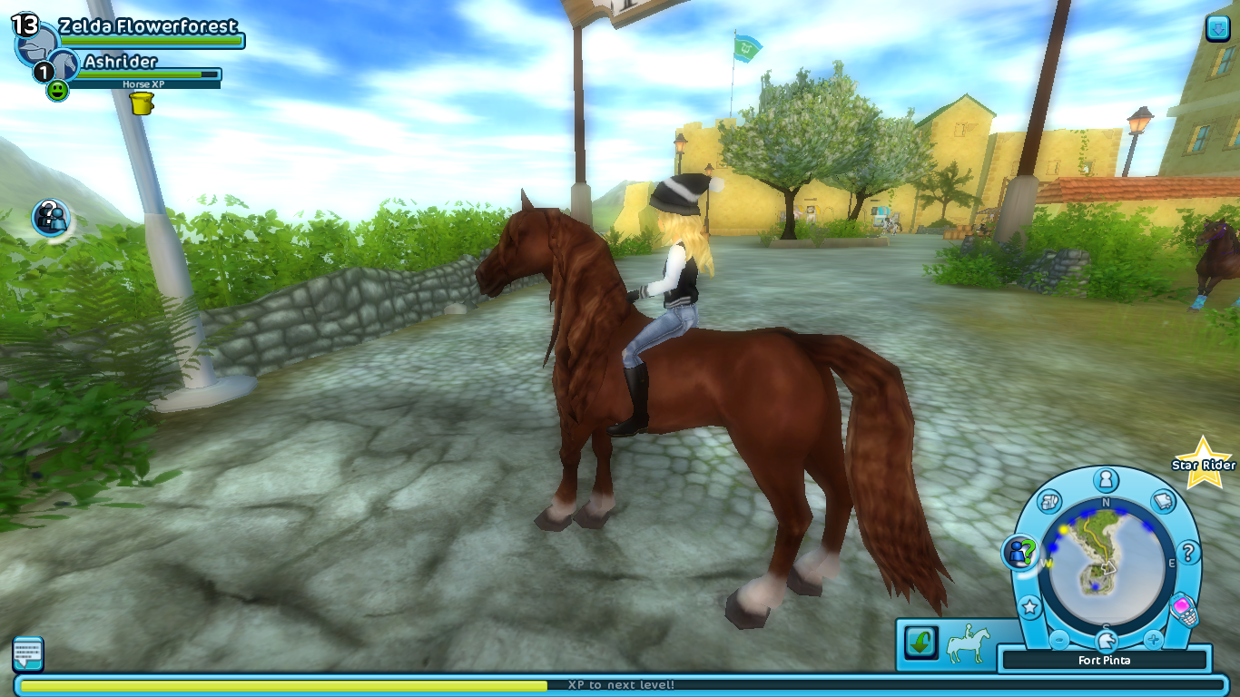 Star Stable 5 Level - HD Wallpaper 