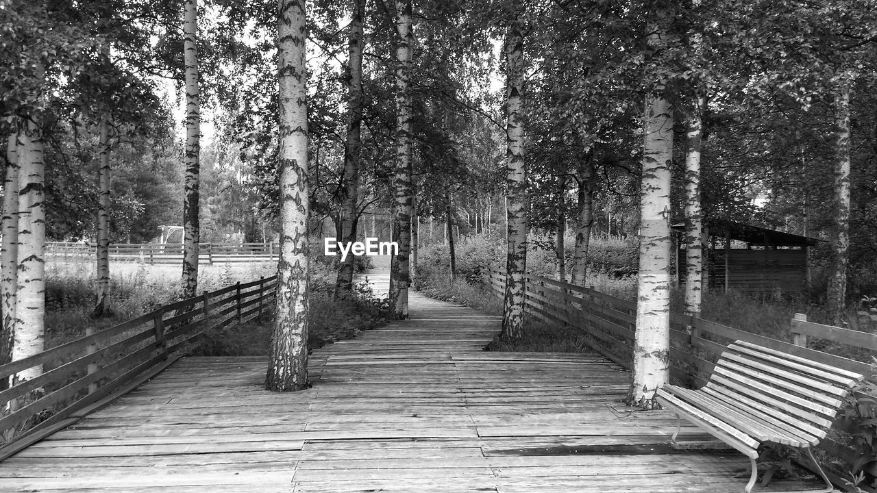 Grove - HD Wallpaper 