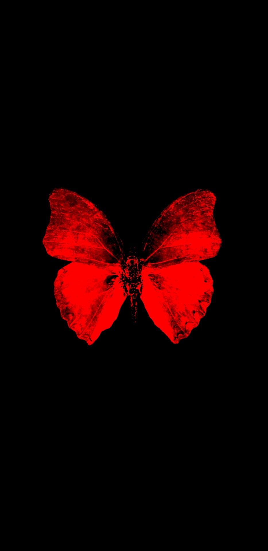 Image - Lycaenid - 934x1920 Wallpaper - teahub.io