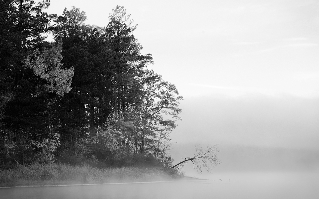 Black And White Image Galleries - HD Wallpaper 