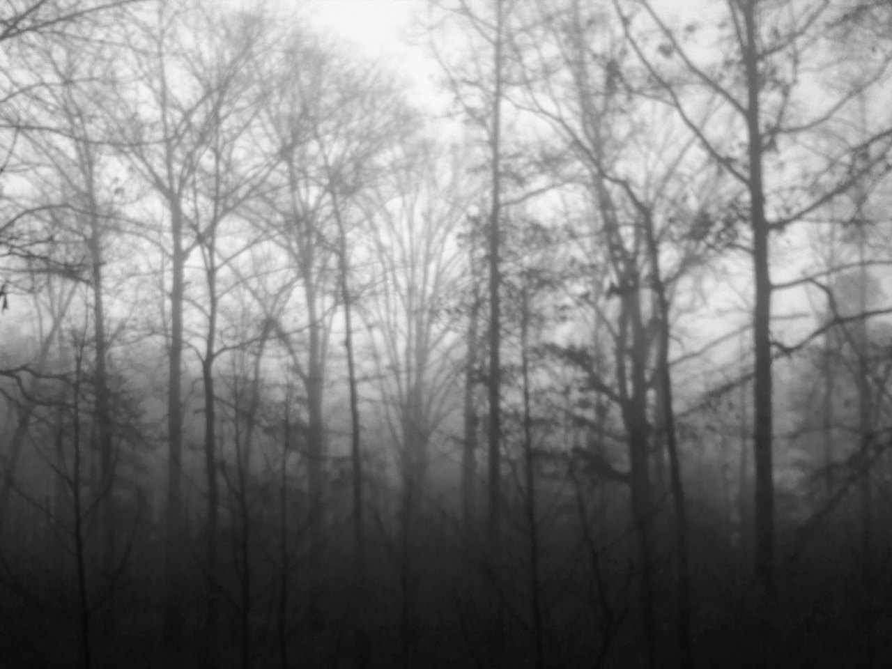 10 Best Images About Black & White Photography On Pinterest - Grove - HD Wallpaper 