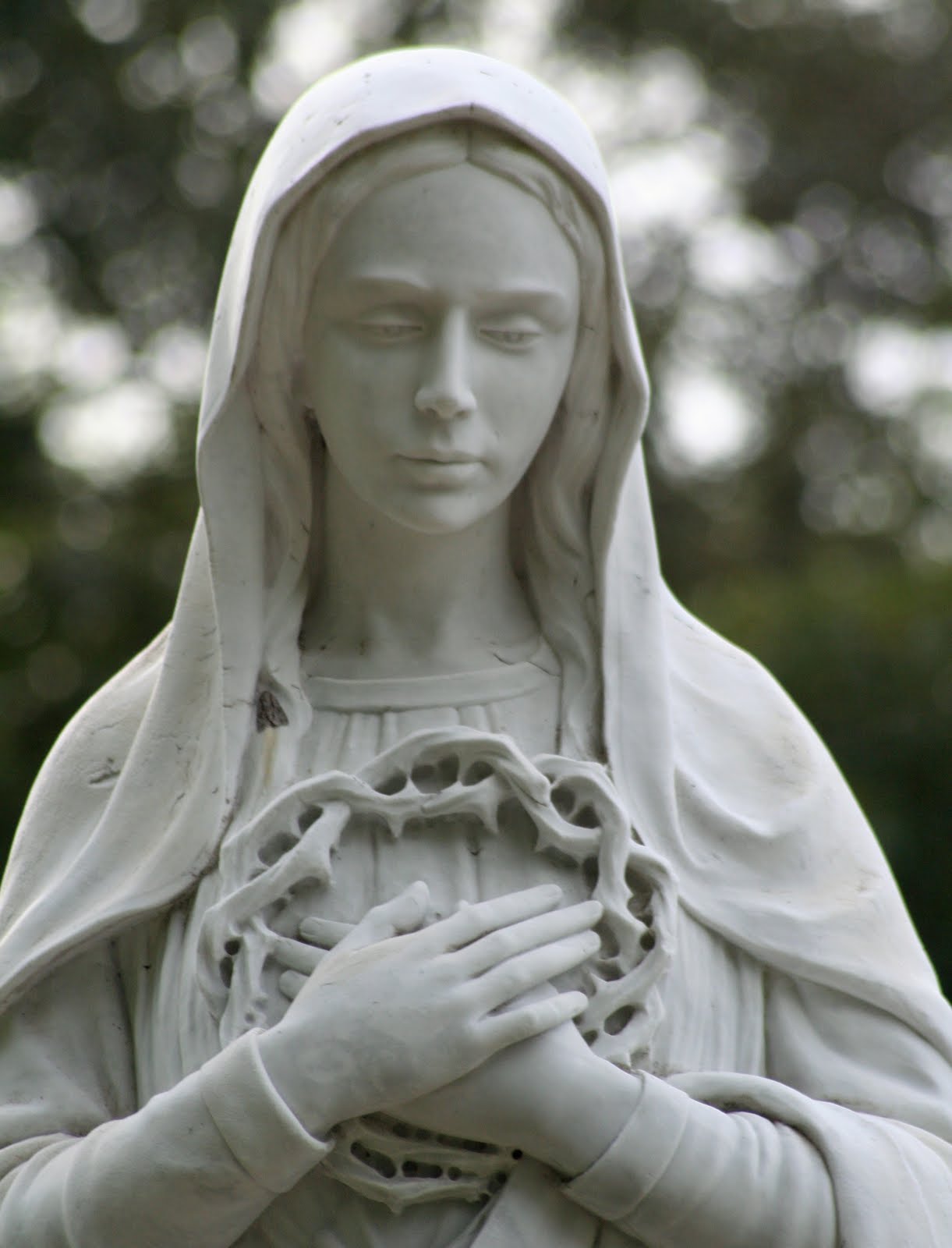 Mother Mary Praying Wallpapers - Fondos De Pantalla Versace - HD Wallpaper 