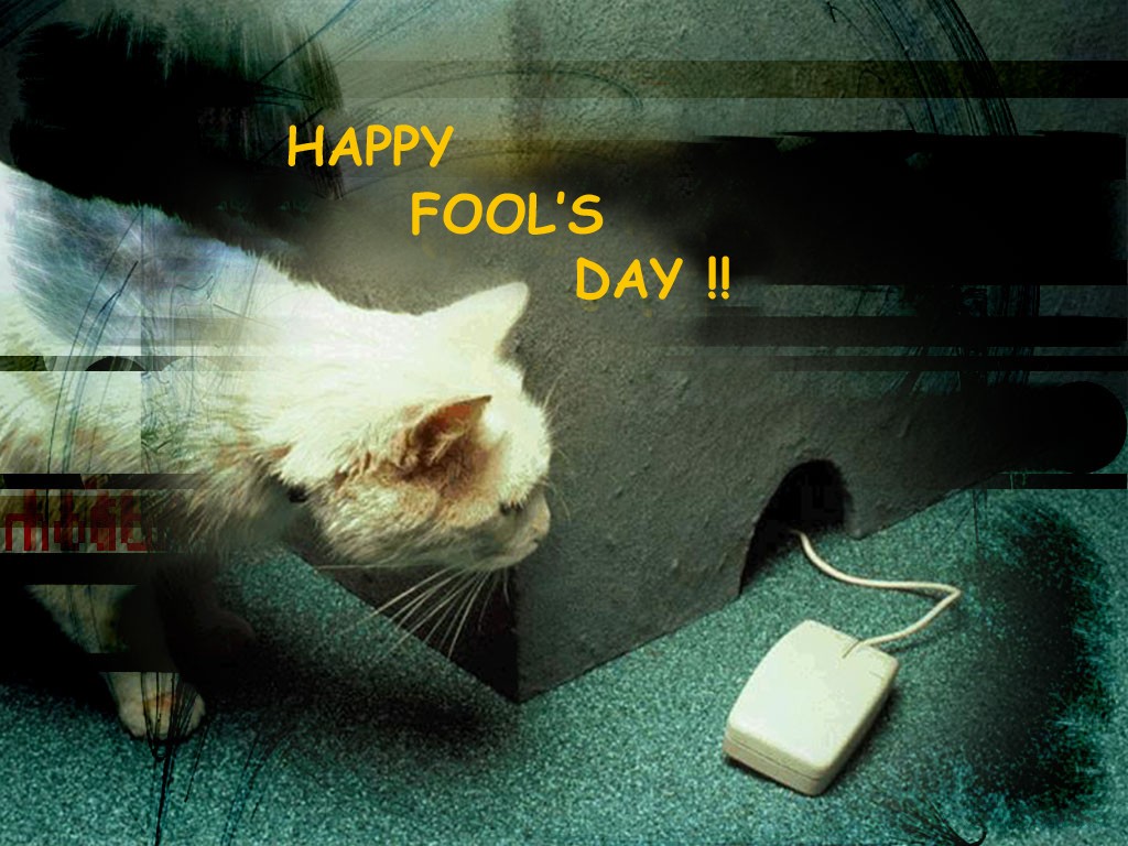 April Fool Wallpaper - Full Hd April Fool Image Download - HD Wallpaper 