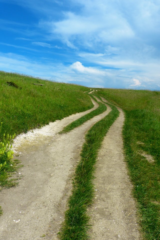 Away, Path, Trail, Meadow, Nature, Grass - Dirt Road - HD Wallpaper 