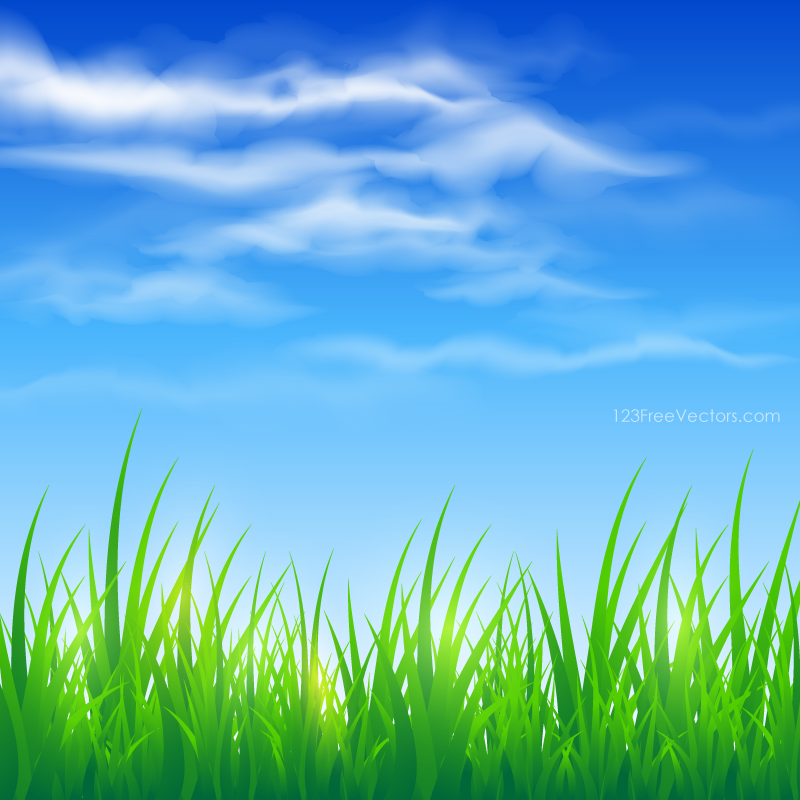 Picsart Green Grass Background - HD Wallpaper 